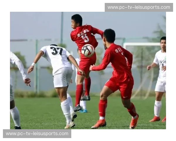 足协杯阵型分析：从布阵到胜果的战术解码